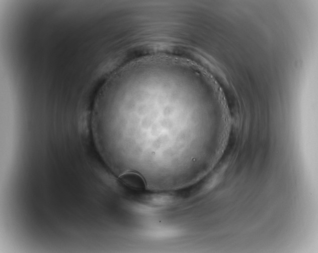 X0000099930462200805231234