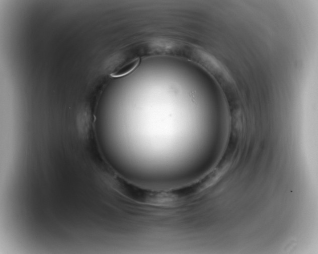 X0000099930463200805231234