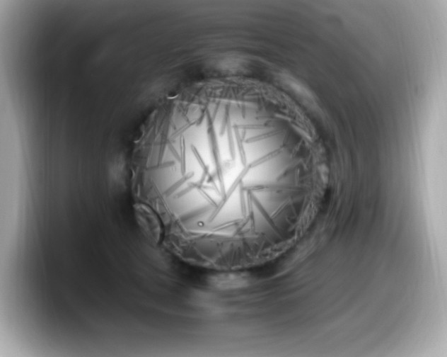 X0000099930465200805231234