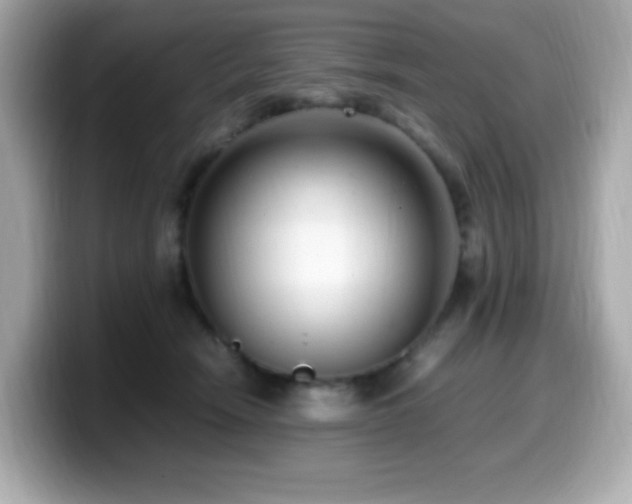 X0000099930466200805231234