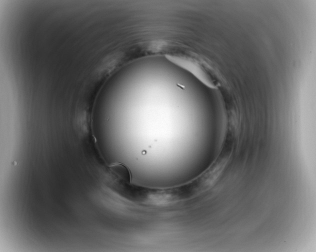 X0000099930470200805231234