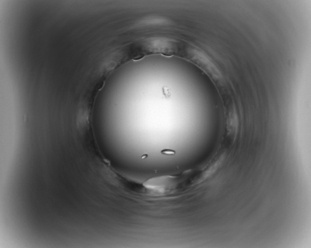 X0000099930473200805231234