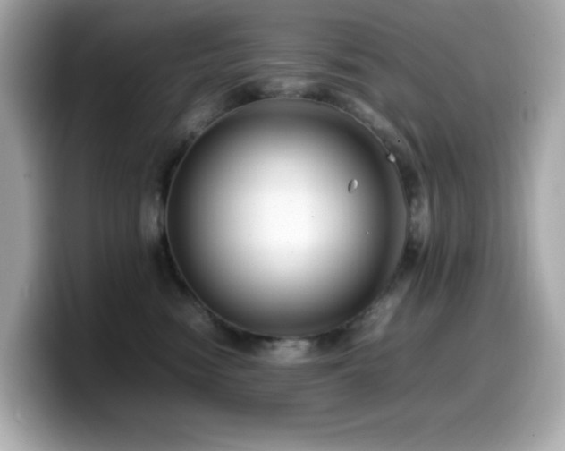 X0000099930474200805231234