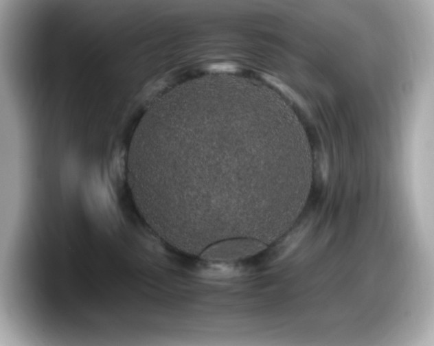 X0000099930475200805231234