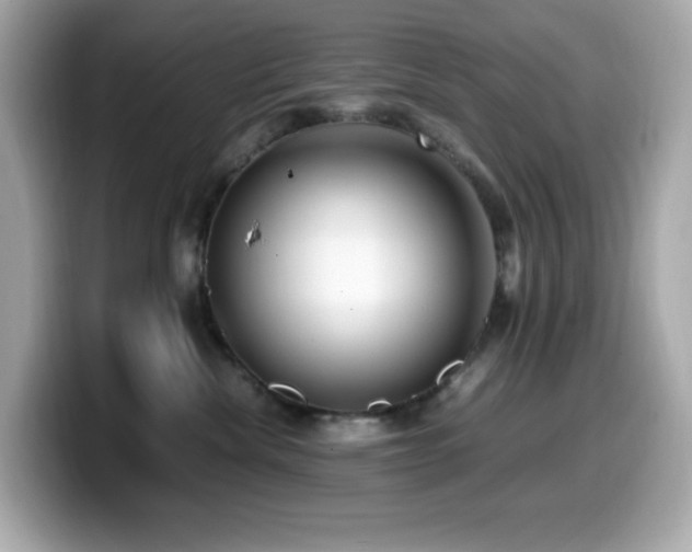 X0000099930476200805231234