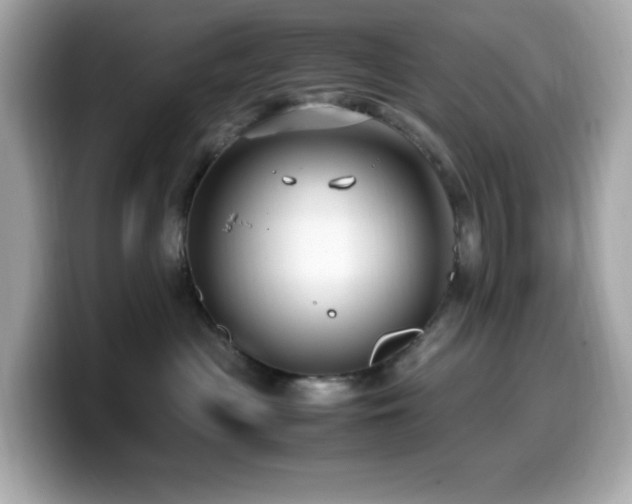 X0000099930477200805231234