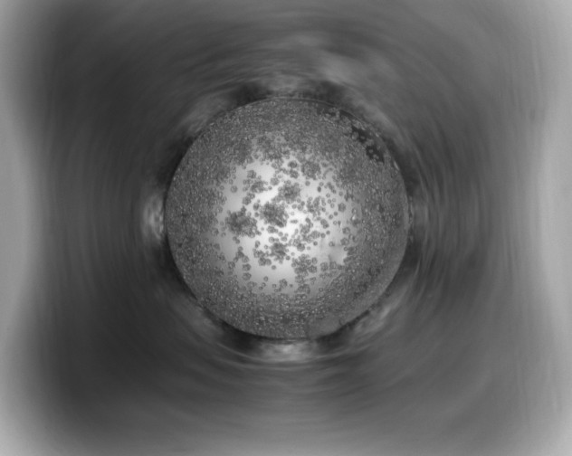 X0000099930479200805231234