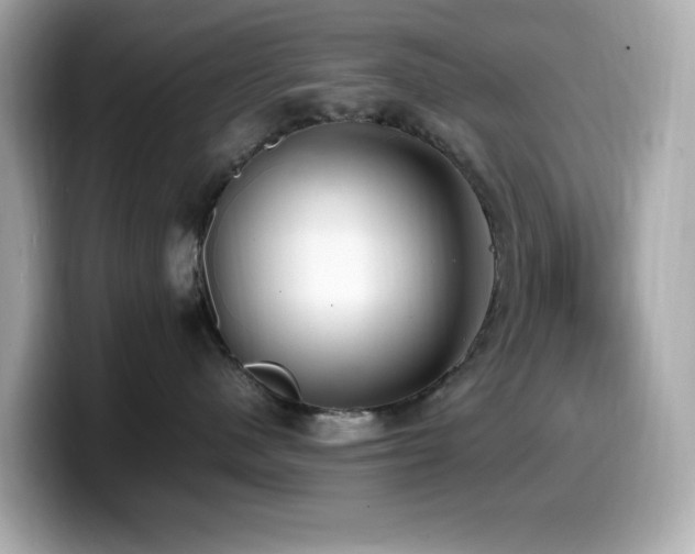 X0000099930480200805231234