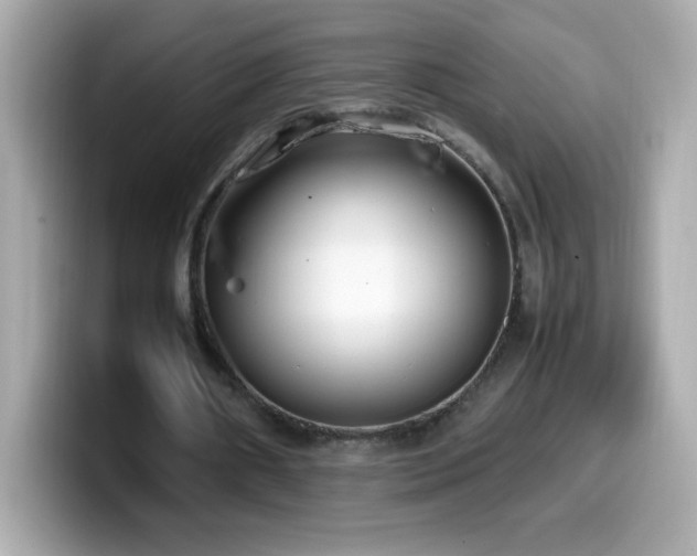 X0000099930482200805231234