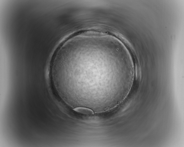 X0000099930483200805231234