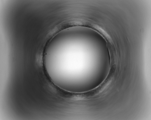 X0000099930489200805231234