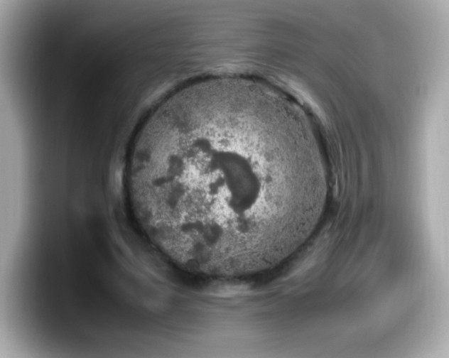 X0000099930491200805231233