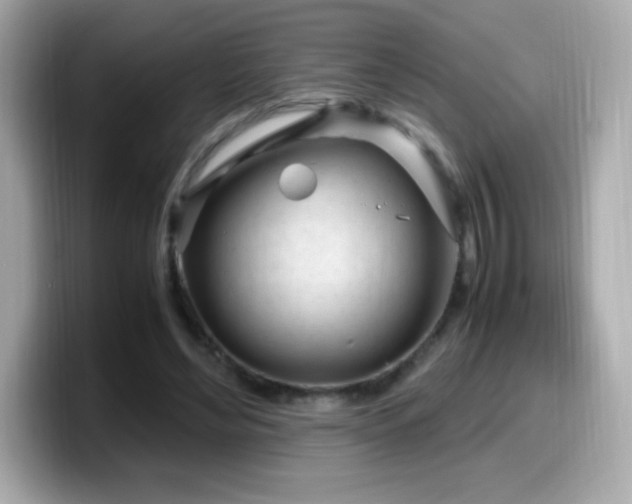 X0000099930492200805231233