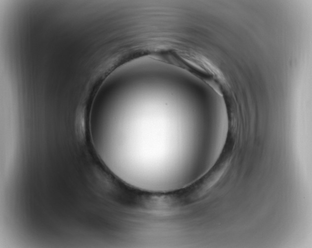 X0000099930493200805231233