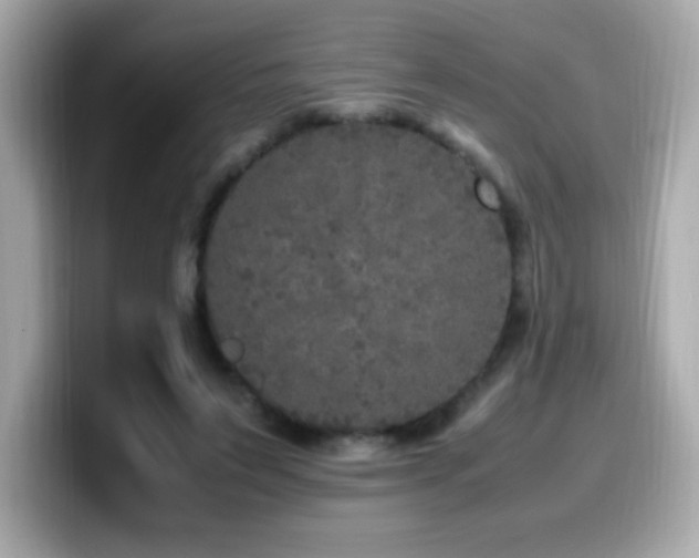 X0000099930495200805231233