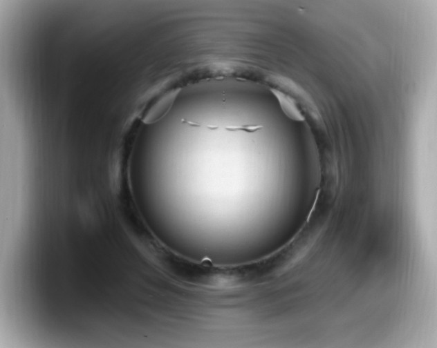 X0000099930496200805231233