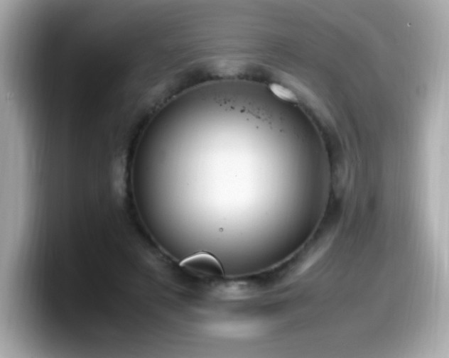 X0000099930497200805231233