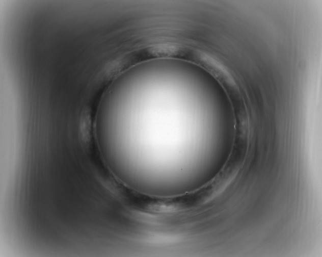 X0000099930498200805231233