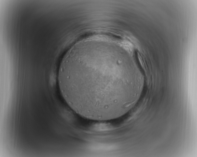 X0000099930499200805231233