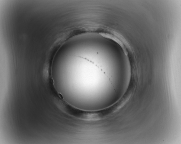 X0000099930501200805231233