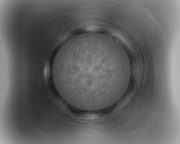 X0000099930502200805231233