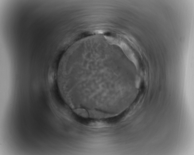 X0000099930503200805231233