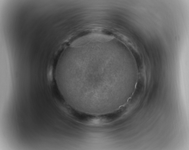 X0000099930504200805231233