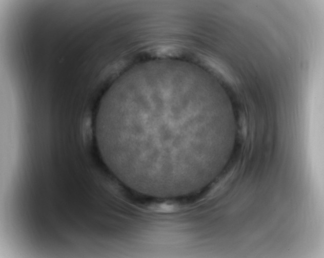 X0000099930506200805231233