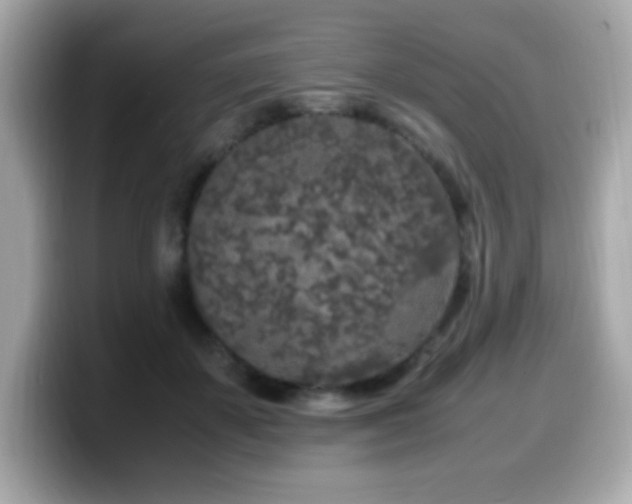 X0000099930507200805231233