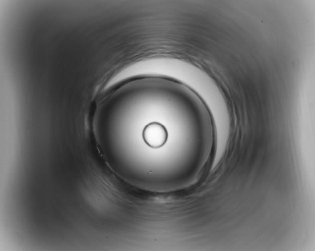 X0000099930508200805231233