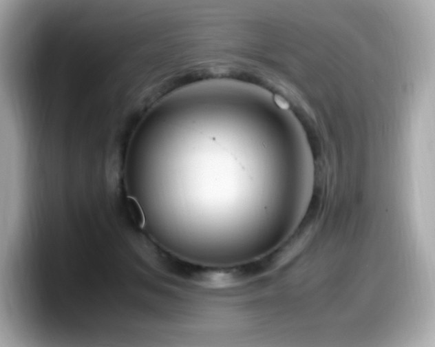 X0000099930509200805231233