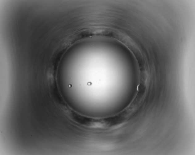 X0000099930510200805231233