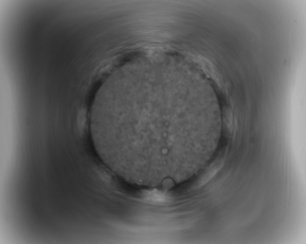 X0000099930511200805231233