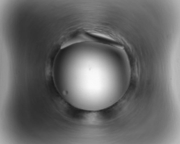 X0000099930513200805231233