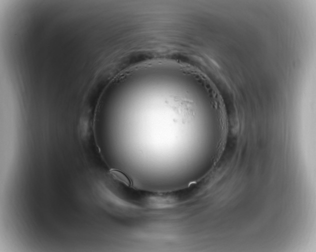 X0000099930515200805231233