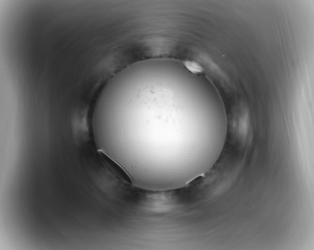 X0000099930516200805231233