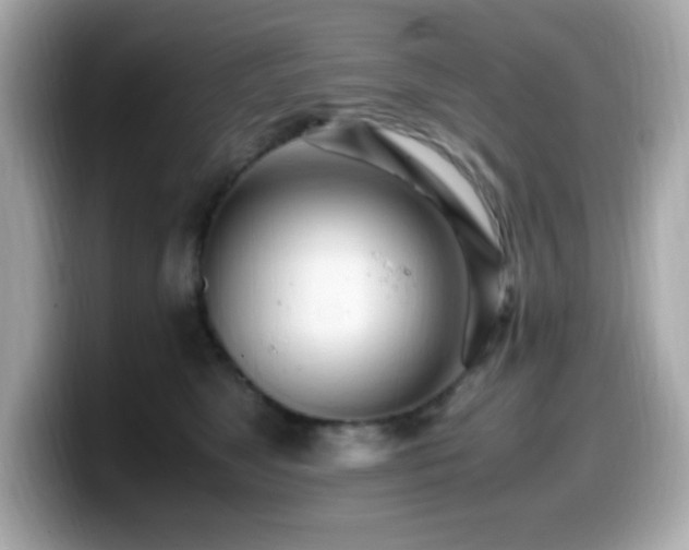 X0000099930517200805231233