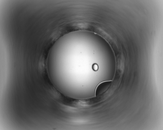 X0000099930518200805231233