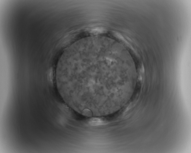 X0000099930519200805231233