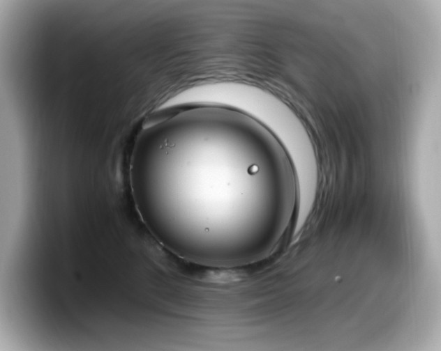 X0000099930520200805231233