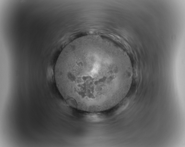 X0000099930523200805231233