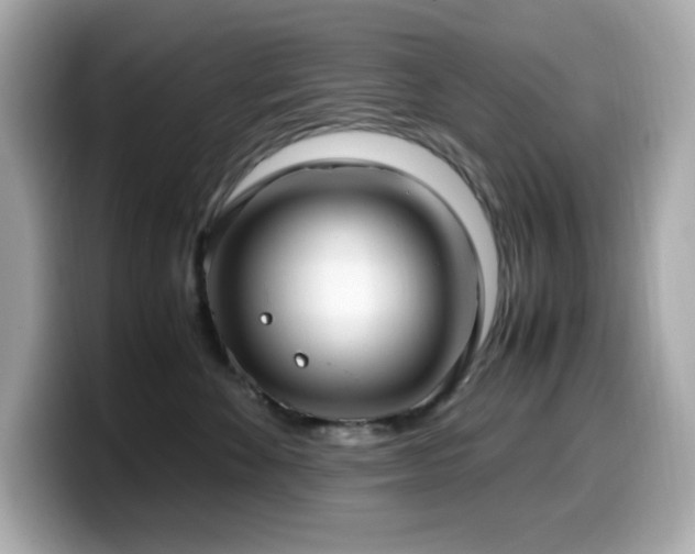 X0000099930524200805231233