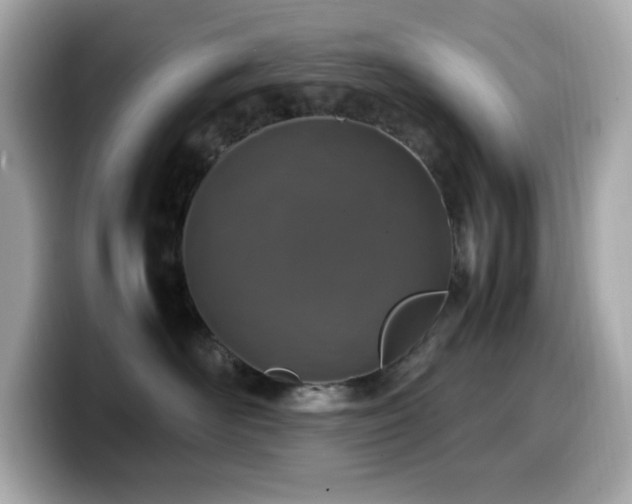 X0000099930526200805231233