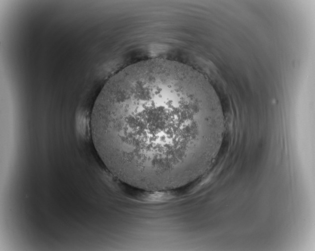 X0000099930527200805231233