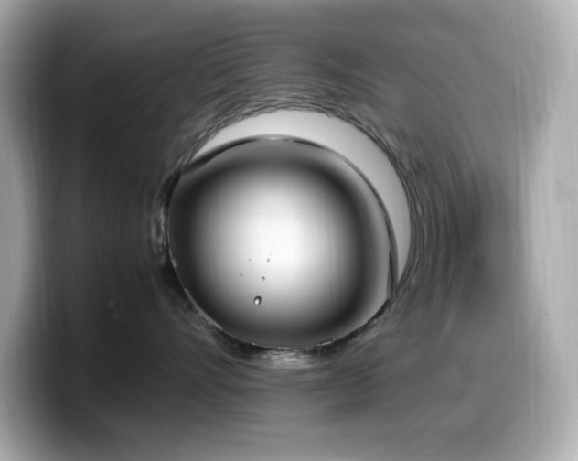 X0000099930528200805231233