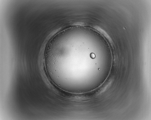 X0000099930529200805231232