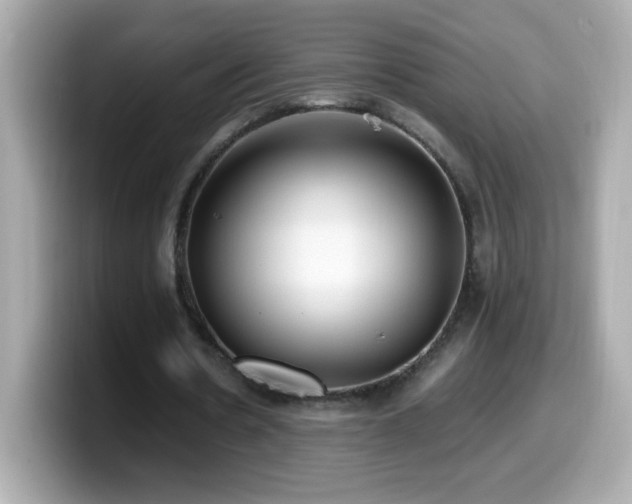 X0000099930530200805231232