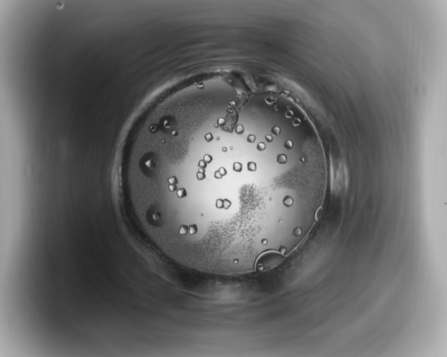 X0000099930531200805231232