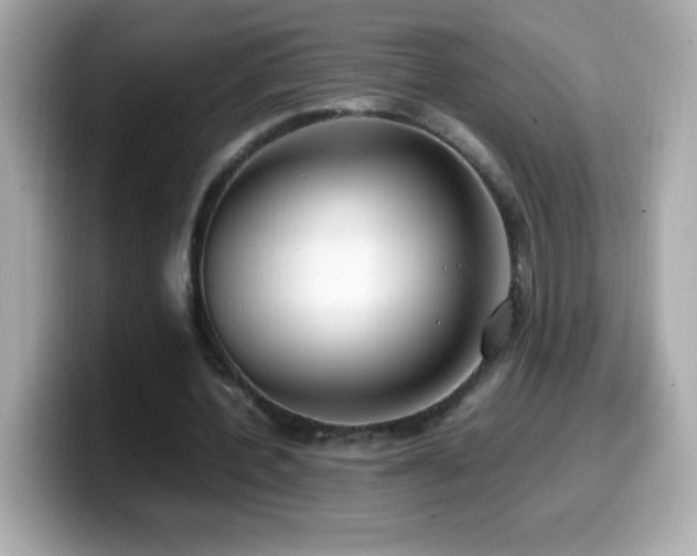 X0000099930532200805231232