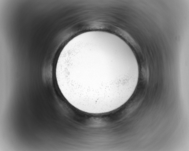 X0000099930534200805231232